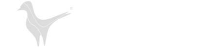 Burning Bird Media Logo