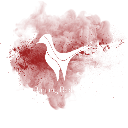 Burning Bird Media Logo mit Farbklecks